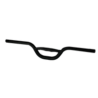 DUALTRON SPIDER | GUIDON