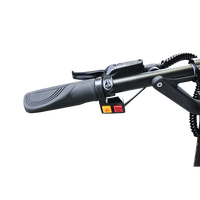 Dualtron Thunder 2021 60V 35Ah